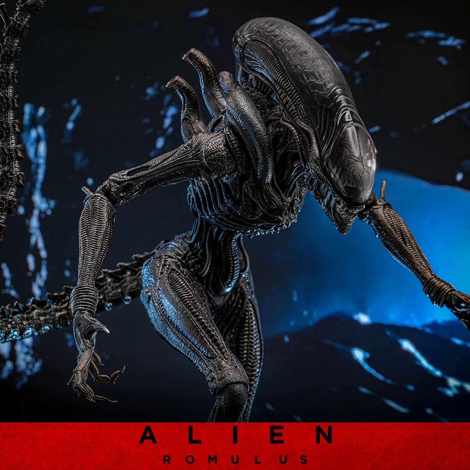 Alien: Romulus: Scorched Xenomorph: 1/6th Scale Action Figure: Hot Toys Hot Toys