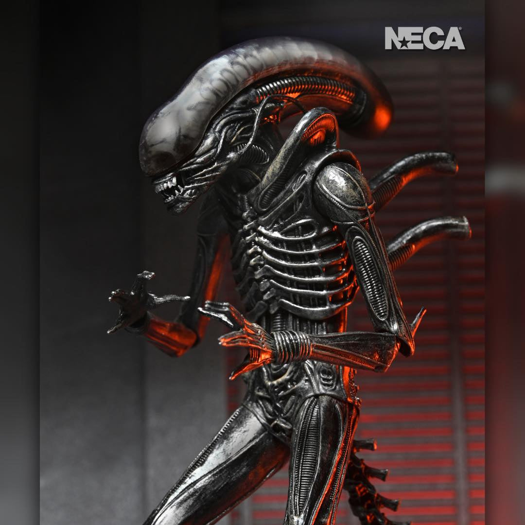 Alien: Romulus: Xenomorph XX121: Ultimate 7" Action Figure Neca