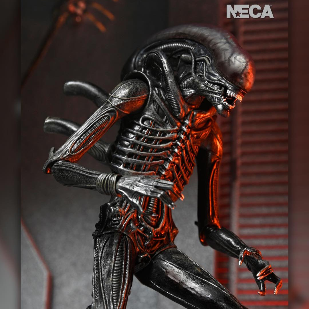 Alien: Romulus: Xenomorph XX121: Ultimate 7" Action Figure Neca