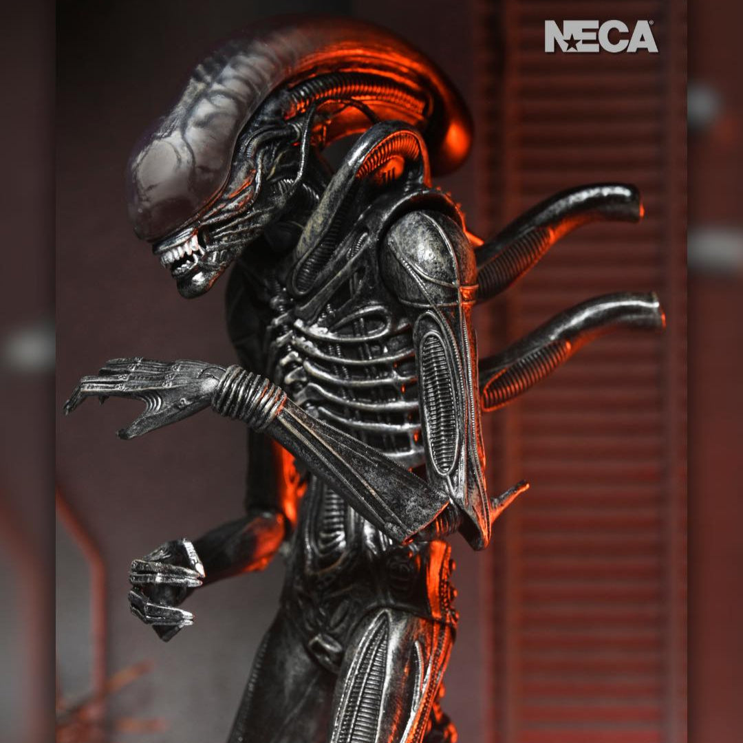 Alien: Romulus: Xenomorph XX121: Ultimate 7" Action Figure Neca