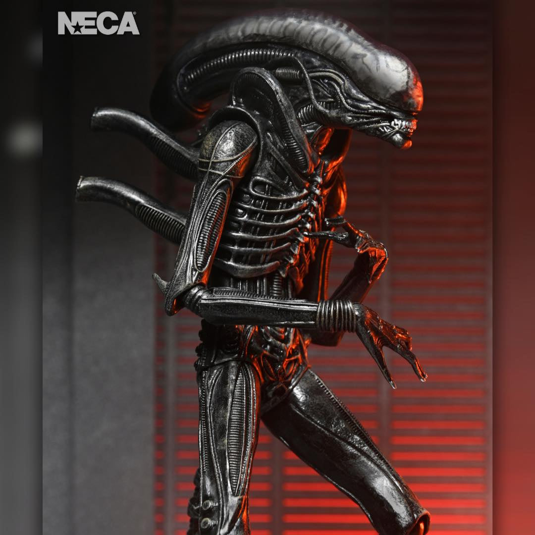 Alien: Romulus: Xenomorph XX121: Ultimate 7" Action Figure Neca