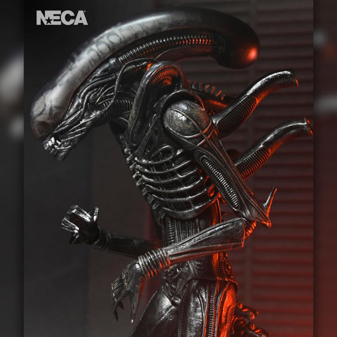 Alien: Romulus: Xenomorph XX121: Ultimate 7" Action Figure Neca