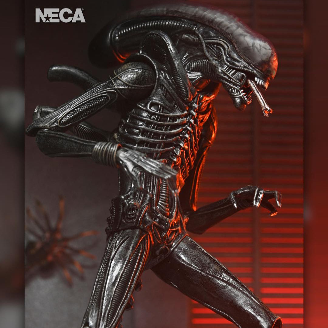 Alien: Romulus: Xenomorph XX121: Ultimate 7" Action Figure Neca