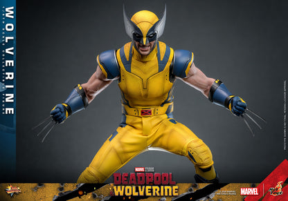 Deadpool & Wolverine: Wolverine: Hot Toys Hot Toys