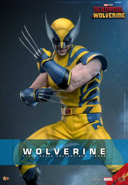 Deadpool & Wolverine: Wolverine: Hot Toys Hot Toys