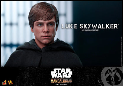 Luke Skywalker: Star Wars: The Mandalorian: DX22 Hot Toys