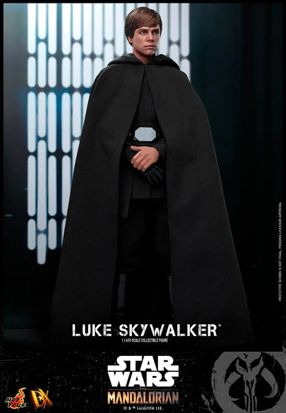 Luke Skywalker: Star Wars: The Mandalorian: DX22 Hot Toys