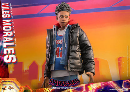 Miles Morales: Spider-Man: Across The Spider-Verse: Marvel Hot Toys