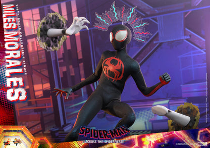 Miles Morales: Spider-Man: Across The Spider-Verse: Marvel Hot Toys