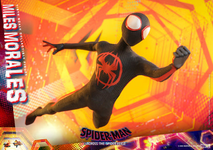 Miles Morales: Spider-Man: Across The Spider-Verse: Marvel Hot Toys