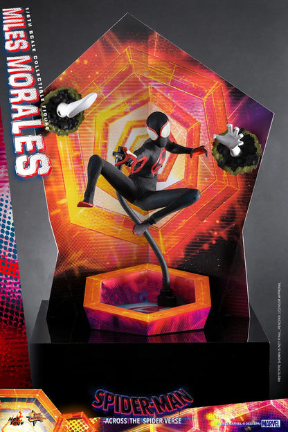 Miles Morales: Spider-Man: Across The Spider-Verse: Marvel Hot Toys