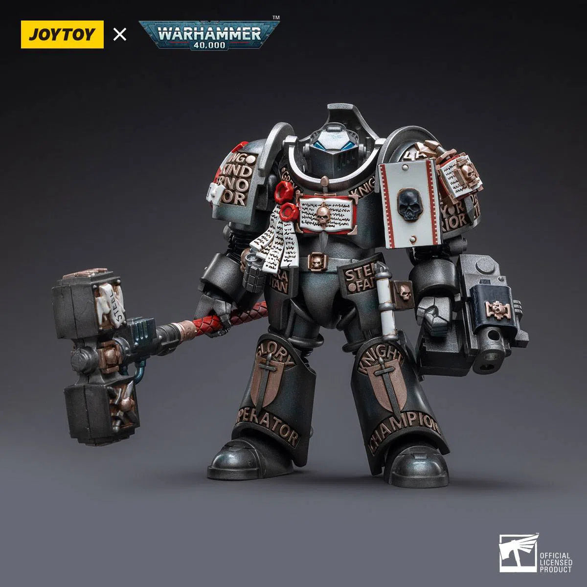 Warhammer 40k: Grey Knights: Terminator Caddon Vibova: Joy Toy Joy Toy