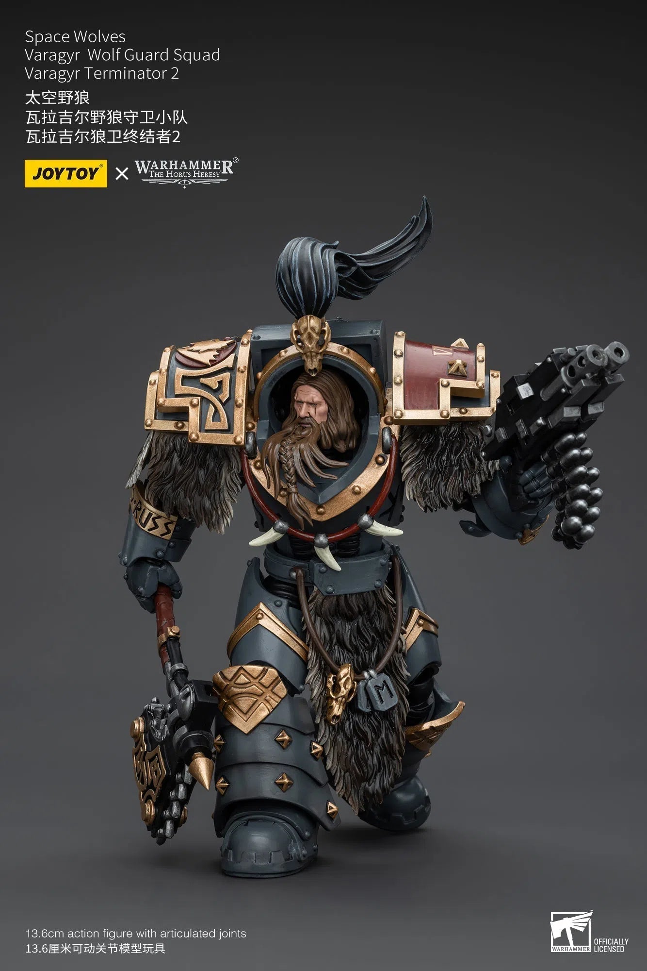 Warhammer The Horus Heresy: Space Wolves: Varagyr Wolf Guard Squad: Varagyr Terminator 2 : Joy Toy Joy Toy