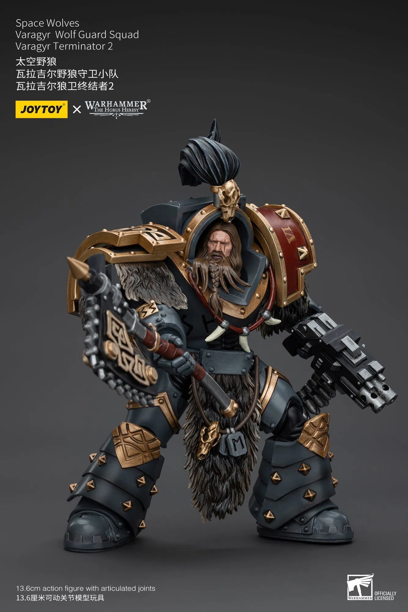 Warhammer The Horus Heresy: Space Wolves: Varagyr Wolf Guard Squad: Varagyr Terminator 2 : Joy Toy Joy Toy