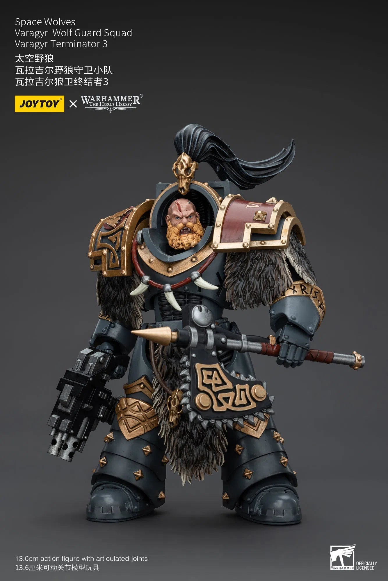 Warhammer The Horus Heresy: Space Wolves: Varagyr Wolf Guard Squad: Varagyr Terminator 3 : Joy Toy Joy Toy