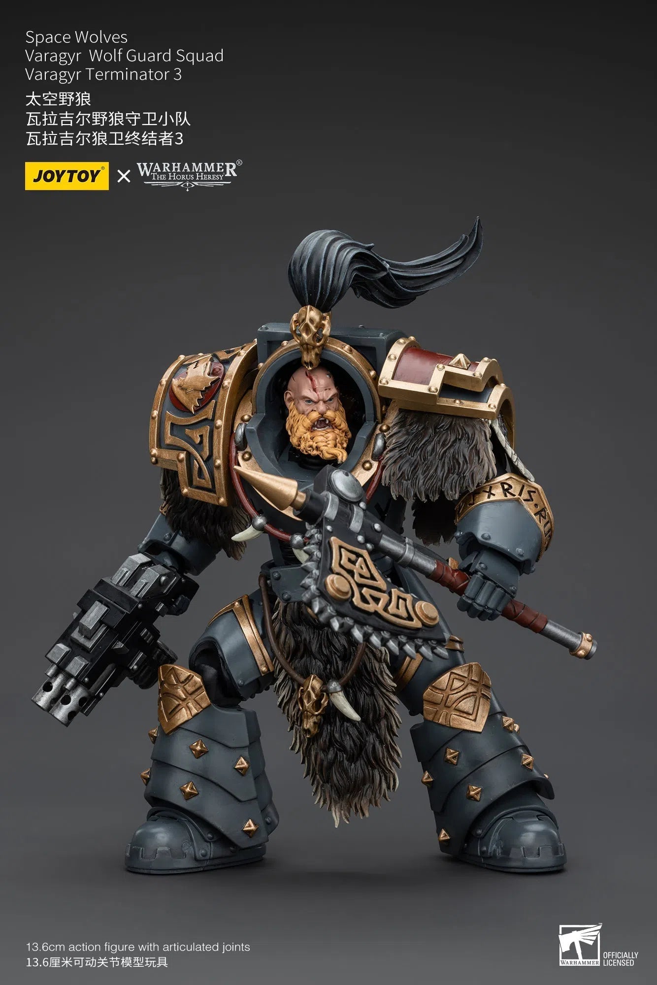 Warhammer The Horus Heresy: Space Wolves: Varagyr Wolf Guard Squad: Varagyr Terminator 3 : Joy Toy Joy Toy