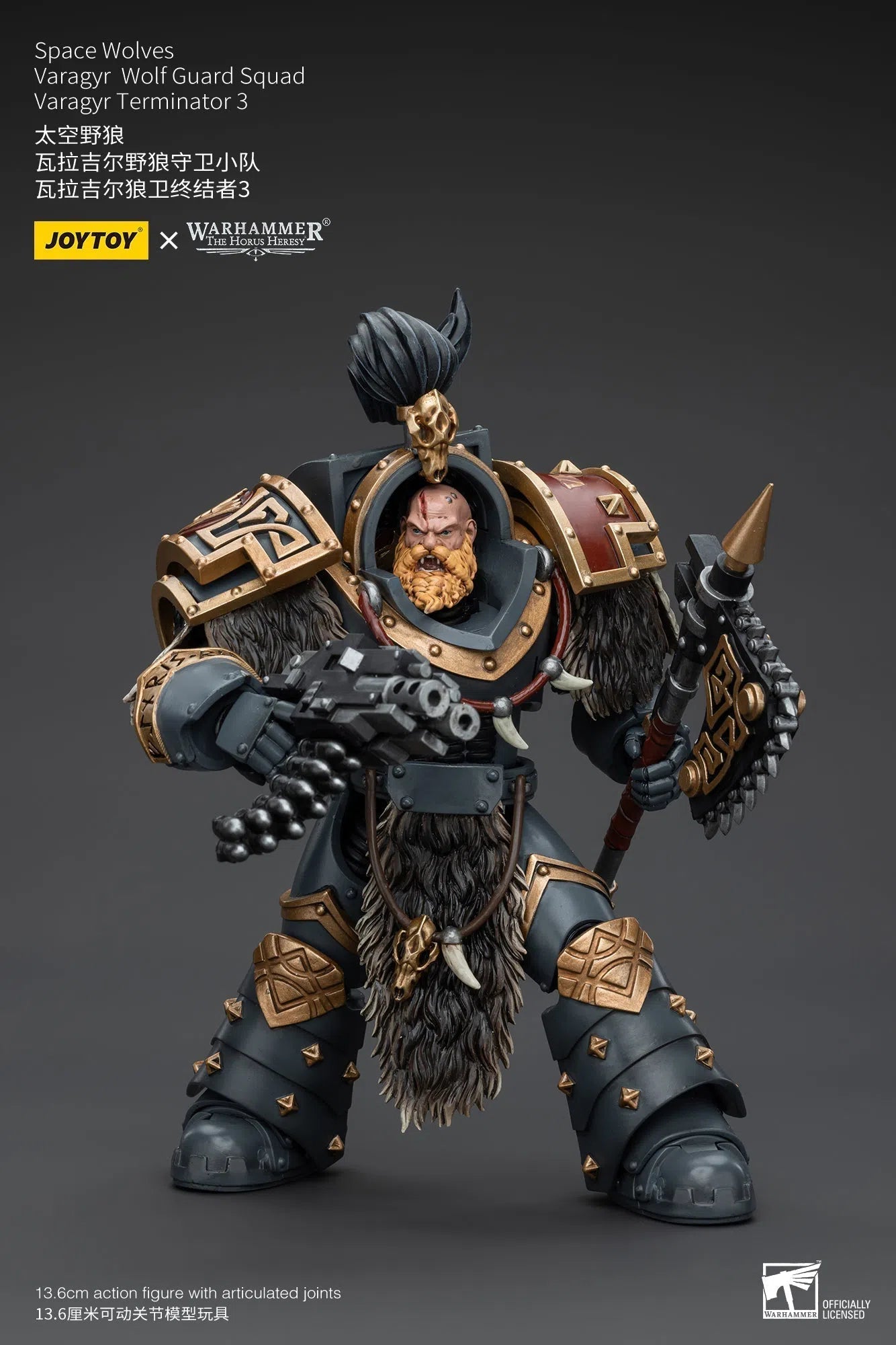 Warhammer The Horus Heresy: Space Wolves: Varagyr Wolf Guard Squad: Varagyr Terminator 3 : Joy Toy Joy Toy