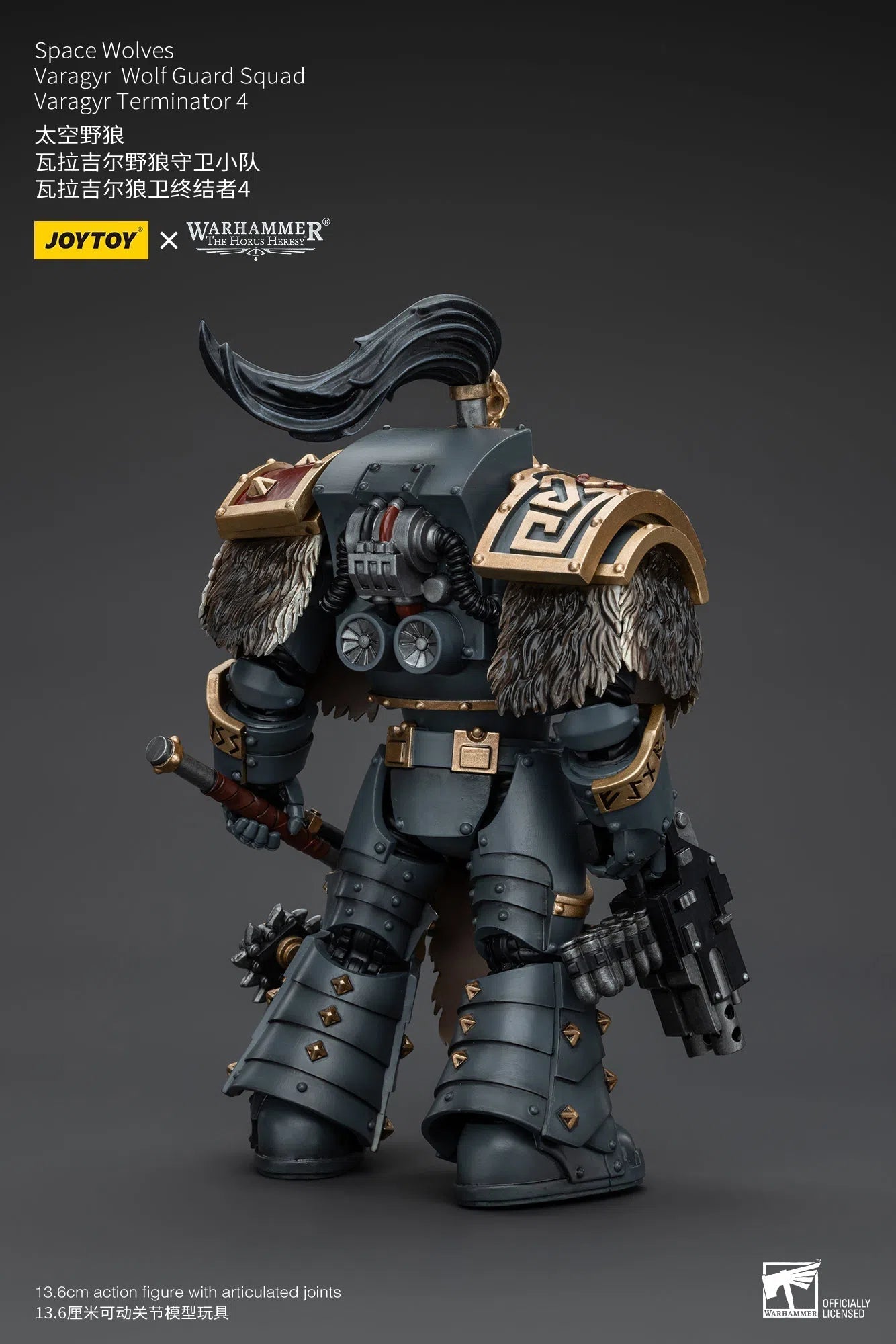 Warhammer The Horus Heresy: Space Wolves: Varagyr Wolf Guard Squad: Varagyr Terminator 4 : Joy Toy Joy Toy