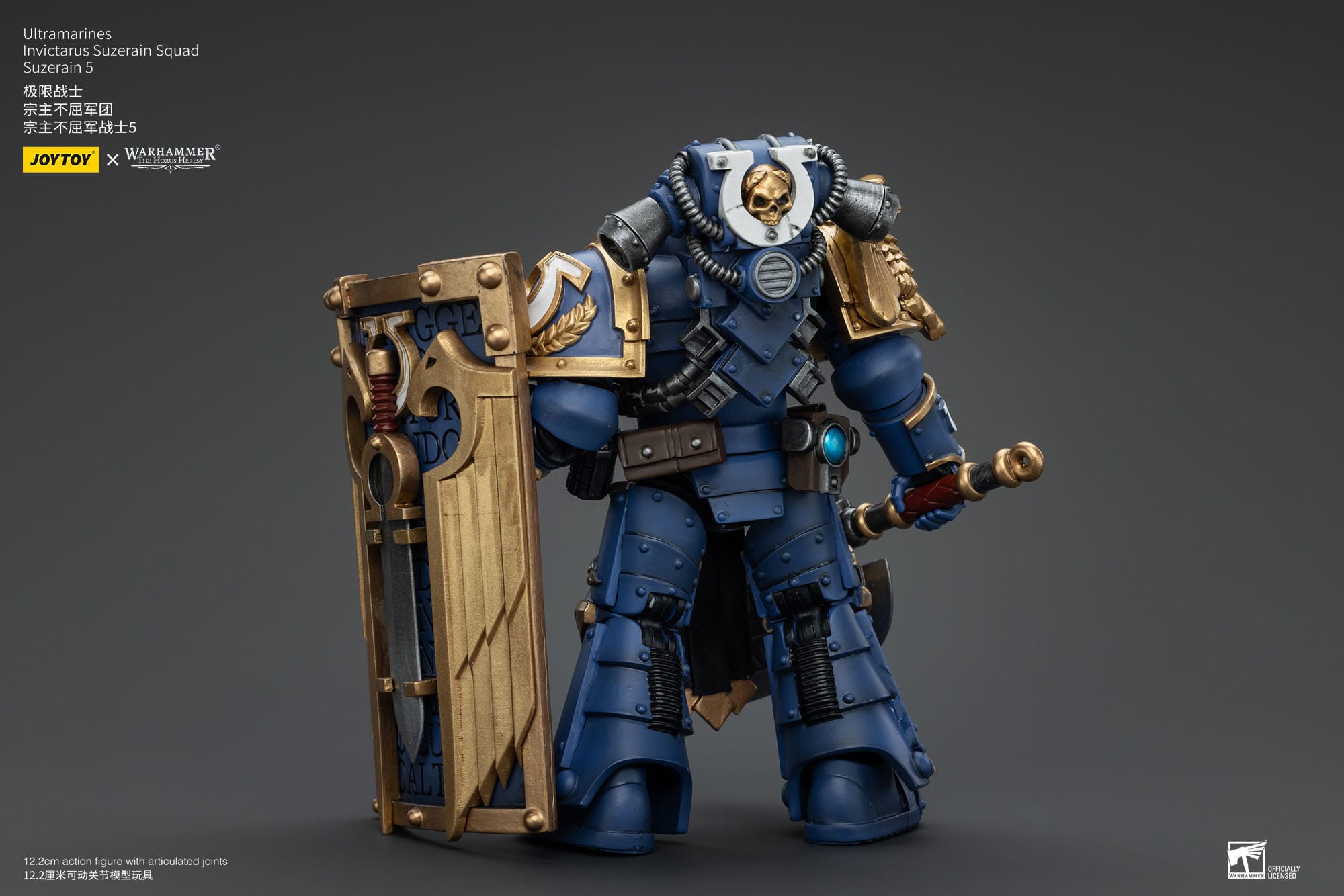 Warhammer The Horus Heresy: Ultramarines: Invictarus Suzerain Squad: Suzerain 5: Action Figure: Joy Toy Joy Toy