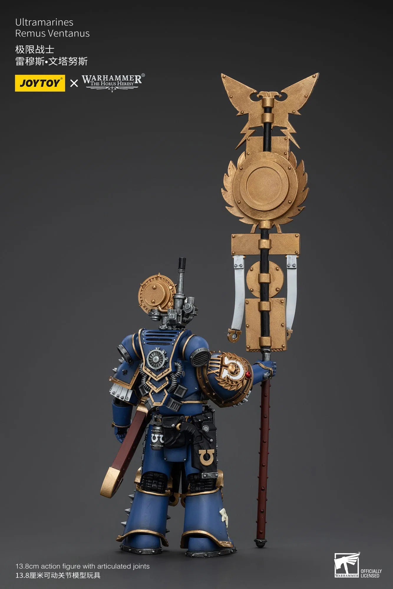 Warhammer The Horus Heresy: Ultramarines Remus Ventanus: Action Figure: Joy Toy Joy Toy