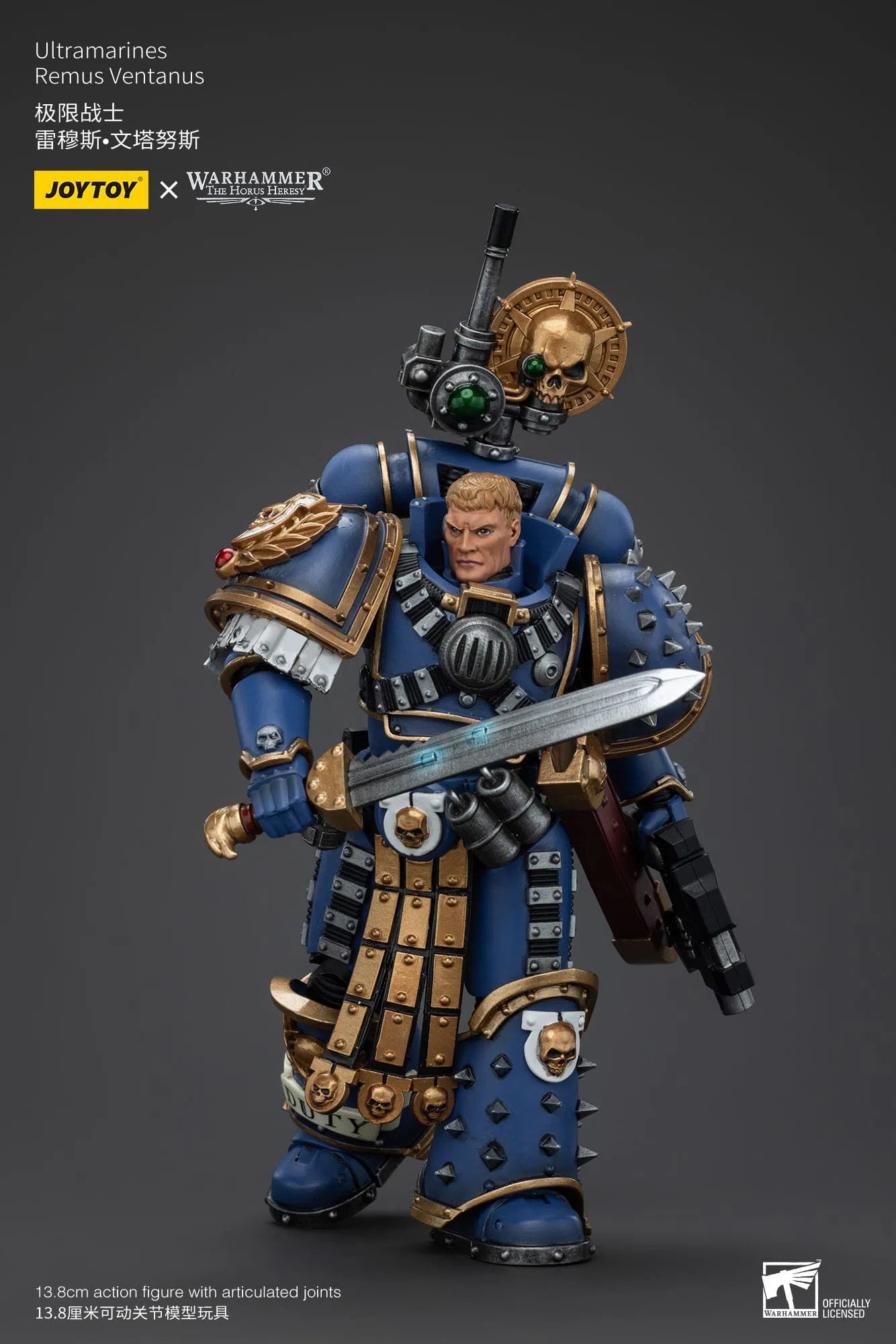 Warhammer The Horus Heresy: Ultramarines Remus Ventanus: Action Figure: Joy Toy Joy Toy