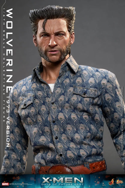 Wolverine: 1973 Version: X-Men: Days Of Future Past: Deluxe Hot Toys