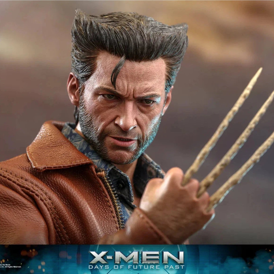 Wolverine: 1973 Version: X-Men: Days Of Future Past: Deluxe Hot Toys