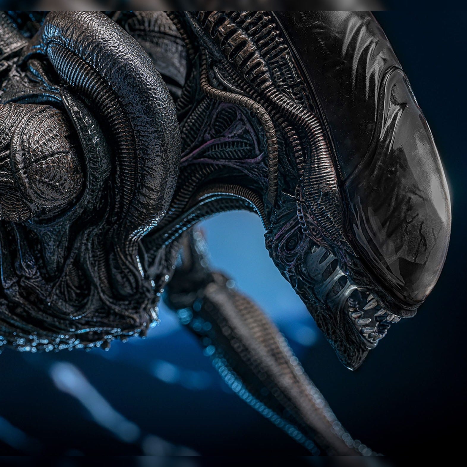 Alien: Romulus: Scorched Xenomorph: 1/6th Scale Action Figure: Hot Toys