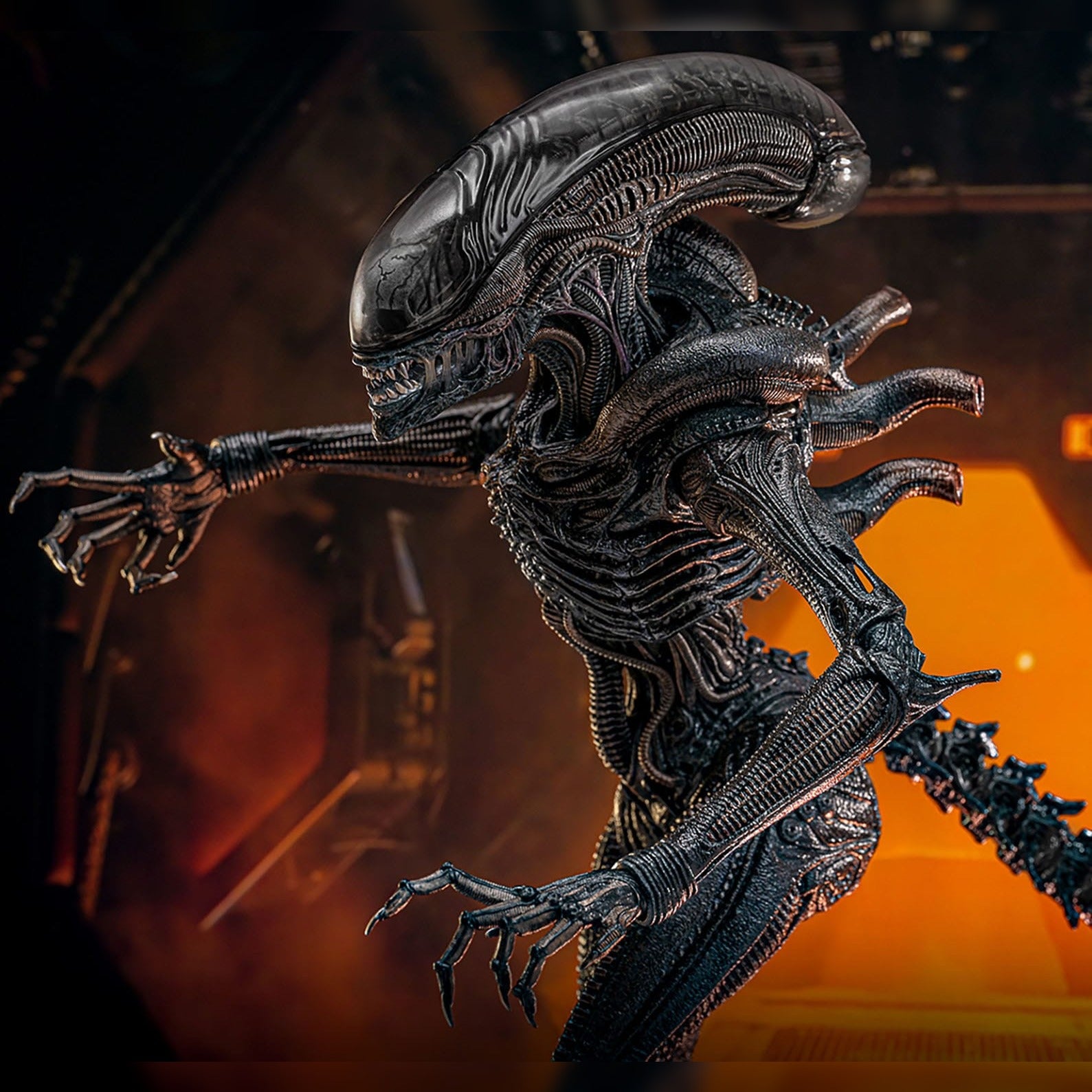 Alien: Romulus: Scorched Xenomorph: 1/6th Scale Action Figure: Hot Toys